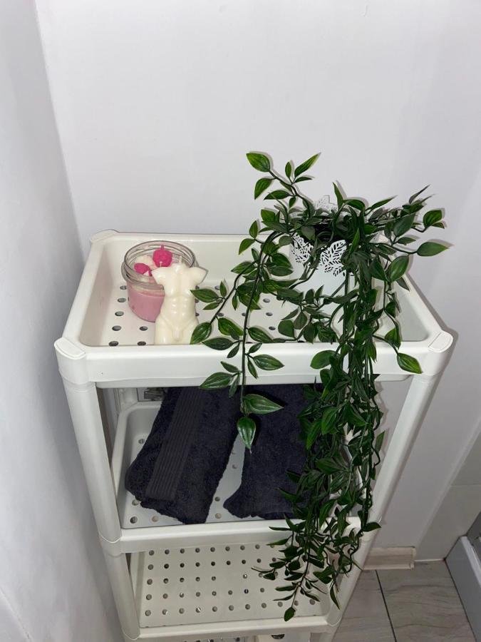 Apartament Grunwaldzka Bydgoszcz Exterior foto